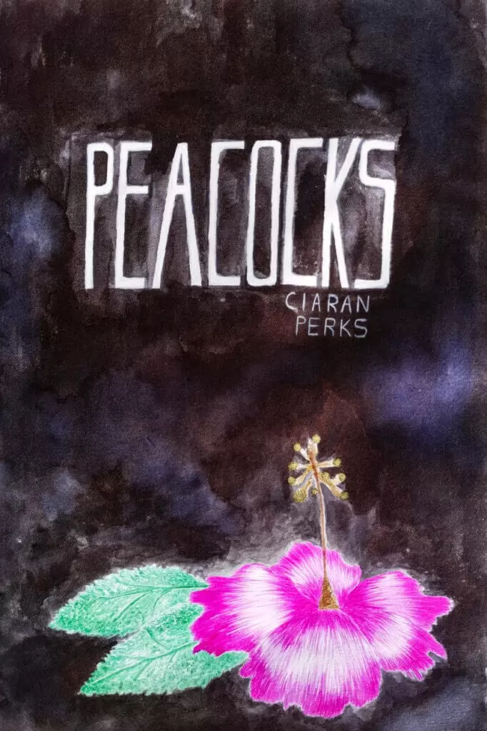 Plymouth College of Art student publishes debut poetry book