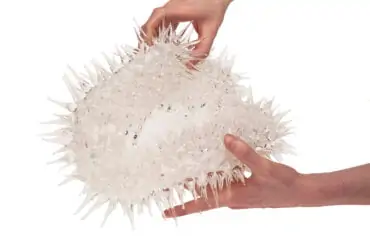 Plymouth College of Art MA Graduate Wins Future Makers Award