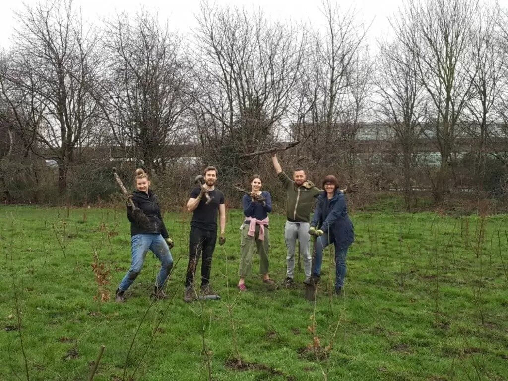 Artfinder Plants 25,000 Trees With Ecologi