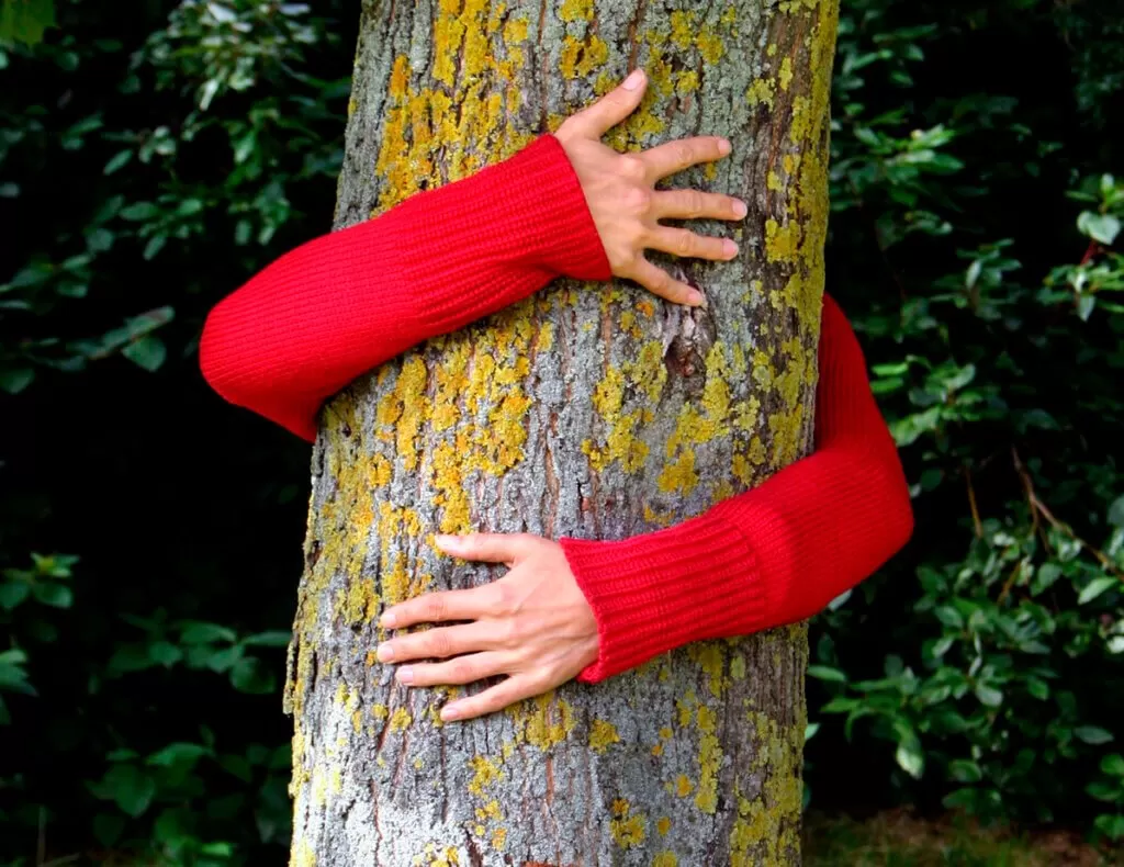 Artfinder Plants 25,000 Trees With Ecologi