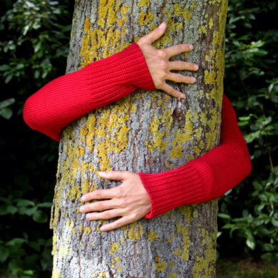 Artfinder Plants 25,000 Trees With Ecologi