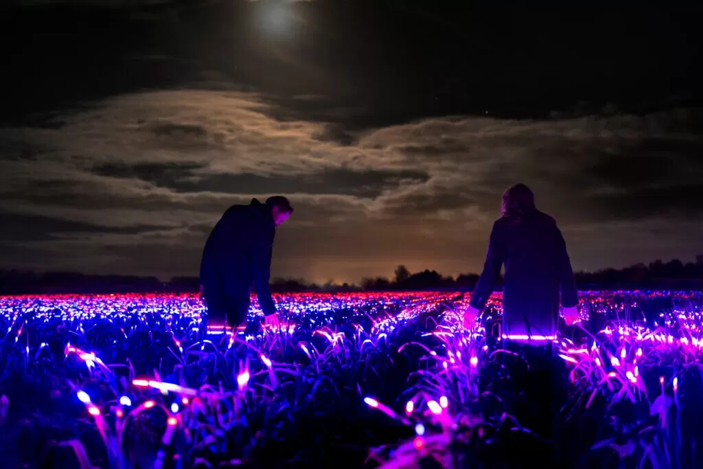 Daan Roosegaarde’s social designs fuse art, urban space and technology