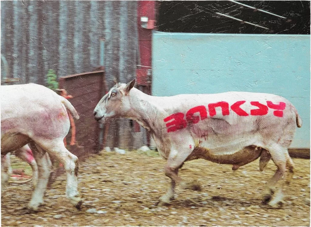 Banksy - Wake Up Sheeple - Steve Lazarides