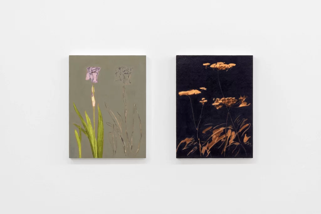Now I am a lake Curated by Rose Nestler, Installation view