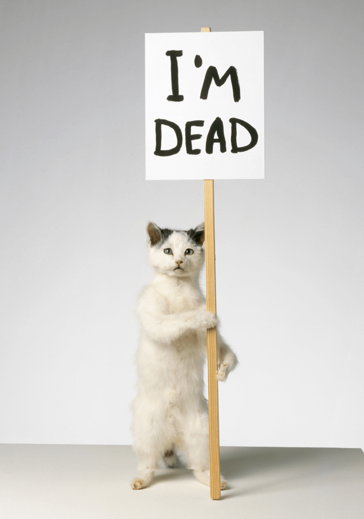 5 Exhibitions In London To See Now - David Shrigley, I’m Dead, 2007