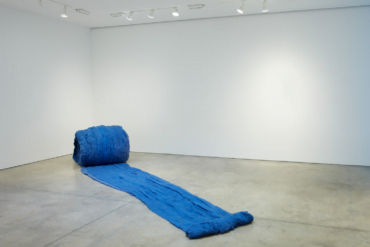 CECILIA VICUÑA Caracol Azul (Blue Snail), 2017