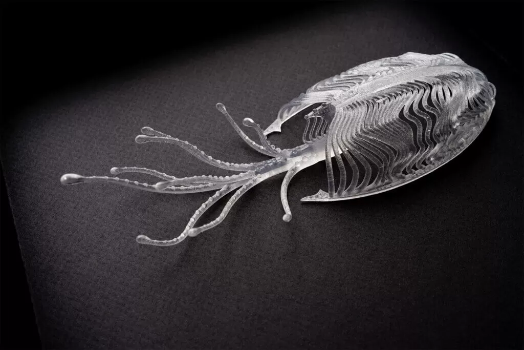 Mary Franck: Specimen