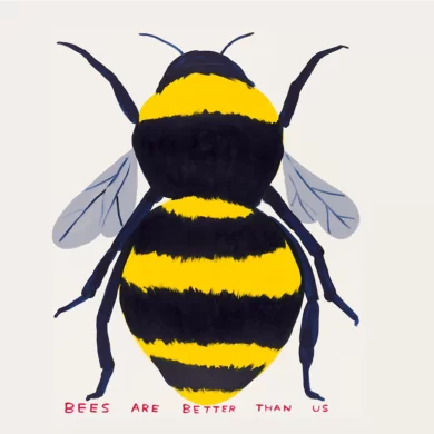 David-Shrigley,-Untitled-(Bees-Are-Better-Than-Us),-2022