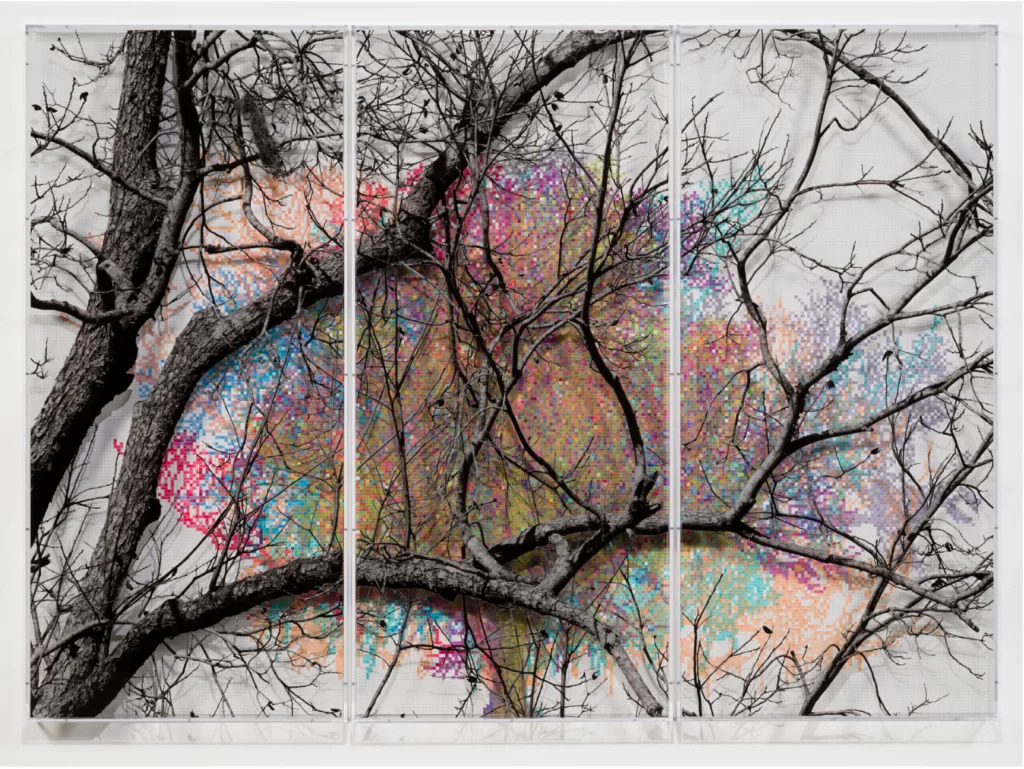 Charles Gaines: Southern Trees
