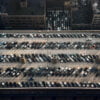 Streets of New York - werner bischof roof of the bus terminal new york usa 1953