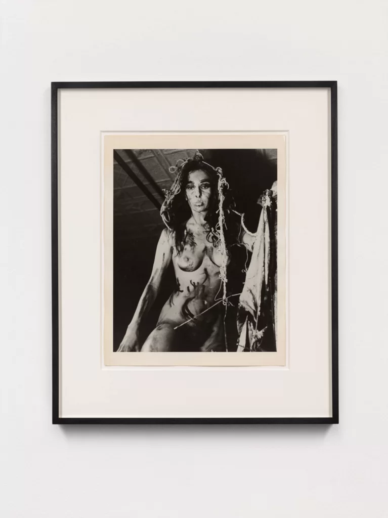 Body Poetics - Carolee Schneemann, Eye Body #10, 1963 and 1989