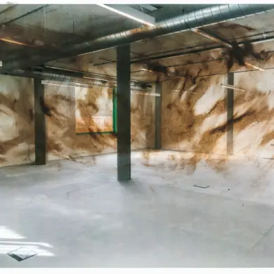 Rafael Pérez Evans: Dust Bathers