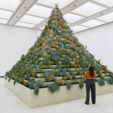 Dear Earth: Art and Hope in a Time of Crisis