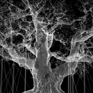 Mat Collishaw: Petrichor