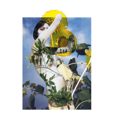 Viviane Sassen At Maison Européenne de la Photographie