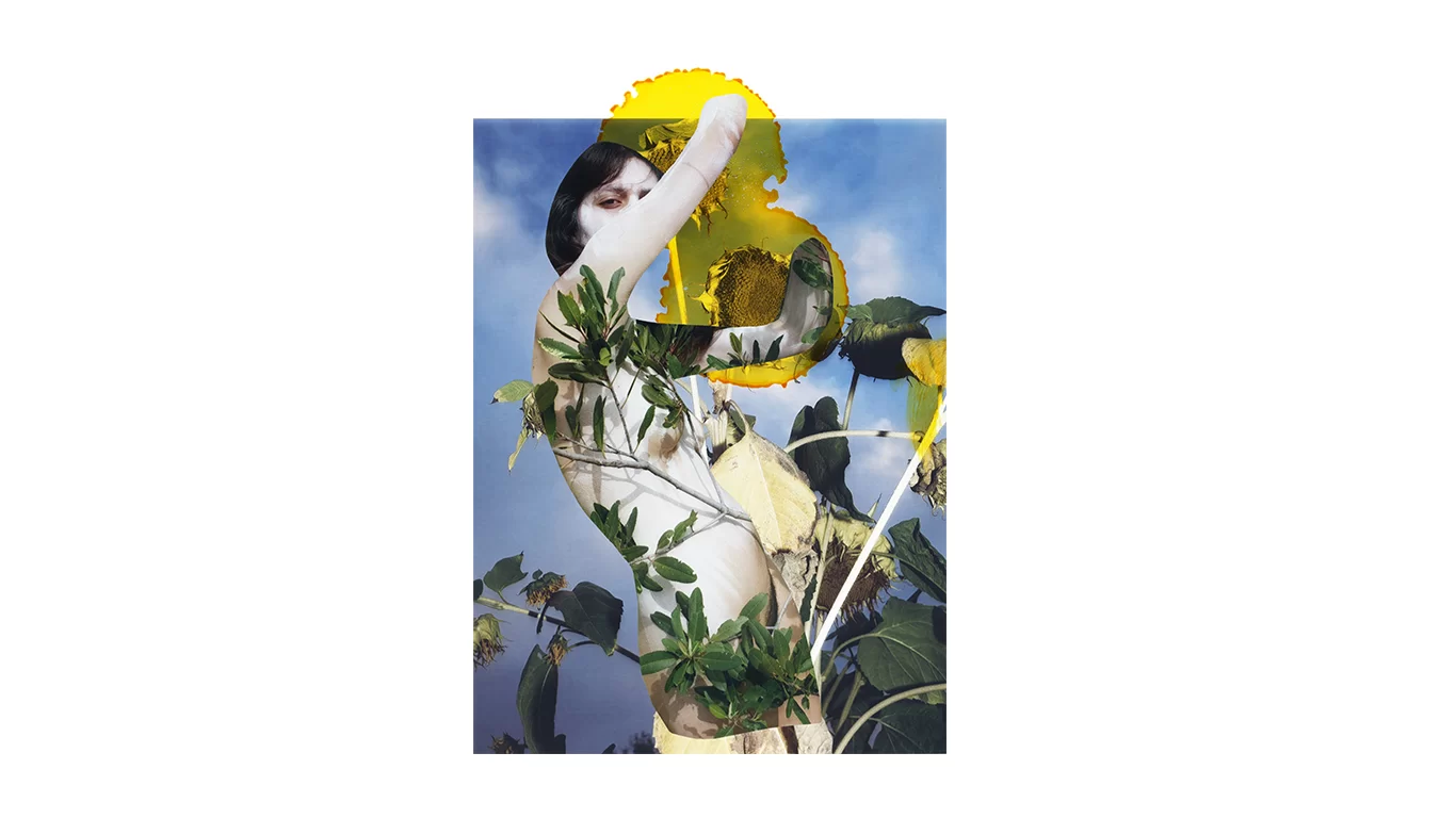 Viviane Sassen At Maison Européenne de la Photographie