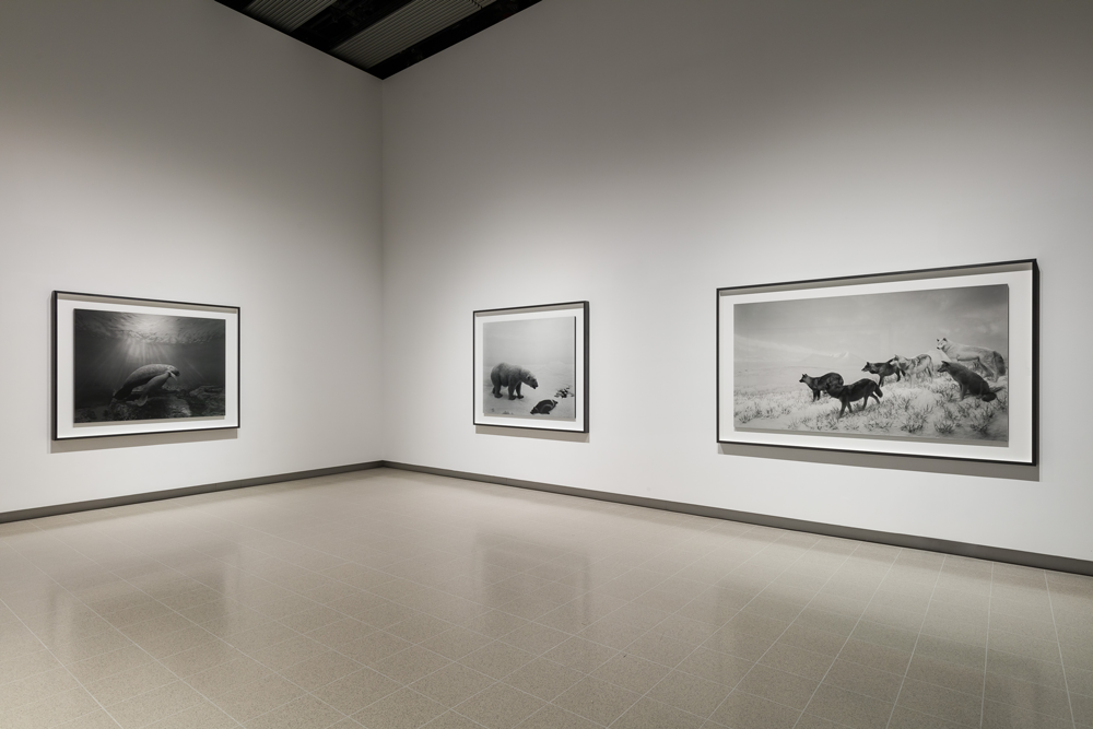 Hiroshi Sugimoto: Time Machine