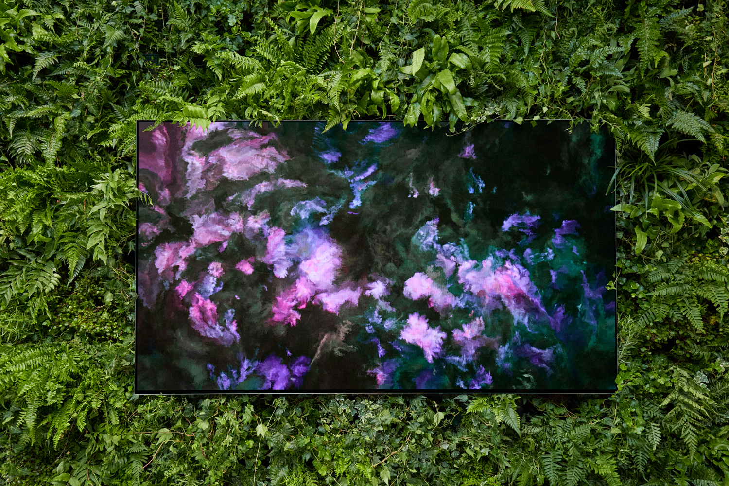 LG OLED ART