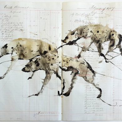 Hannelie Coetzee: SEEING AND BEING SEEN: DRAWING AN ANTI-ZOO OF LIBERATED ANIMALS