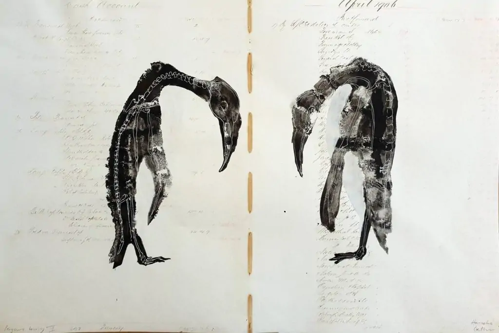 Hannelie Coetzee: SEEING AND BEING SEEN: DRAWING AN ANTI-ZOO OF LIBERATED ANIMALS