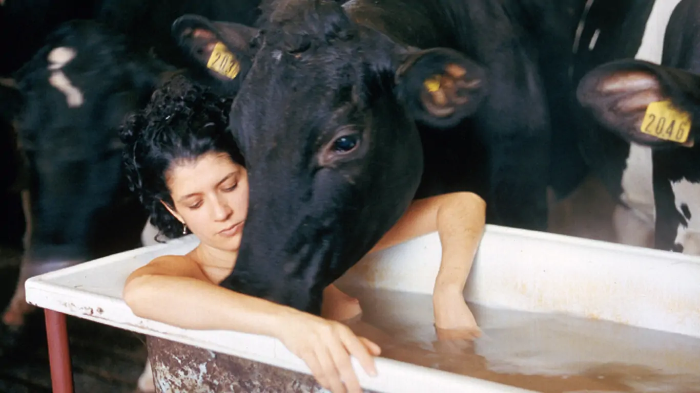 Acts of Creation: On Art and Motherhood
