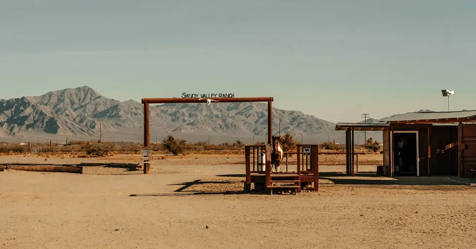 Cj Hendry Explores Kitschy Glamour in Her 'Public Pool' Art Installation