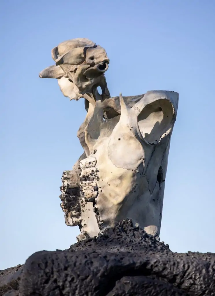 Huma Bhabha: Before The End