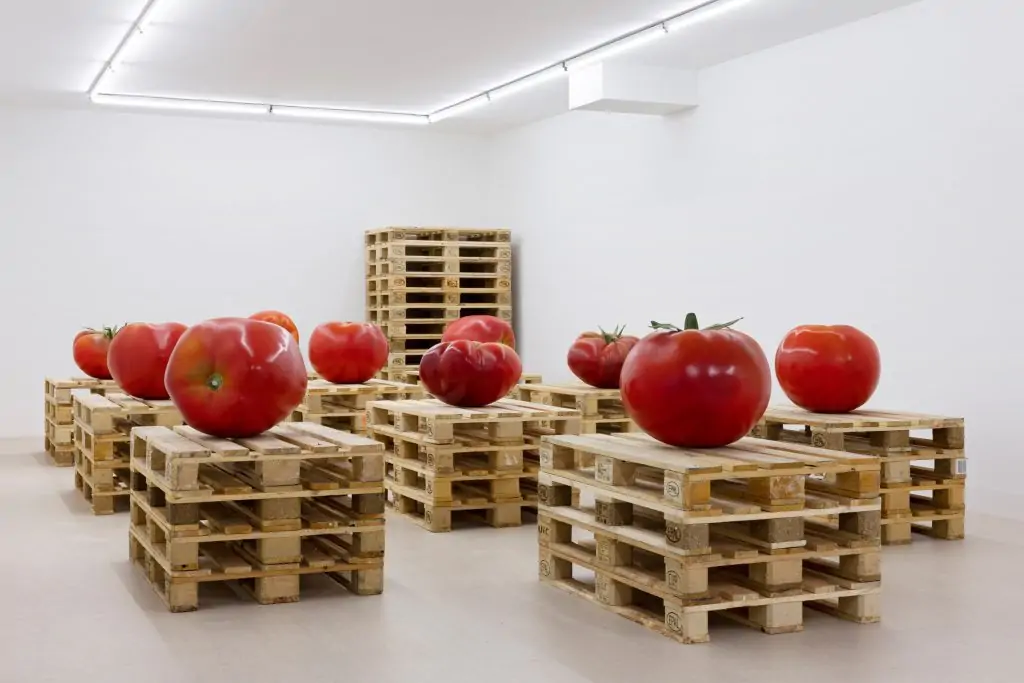 Mattress Factory Announces: 2024 International Open Call Selections 