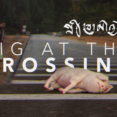 Pig at the Crossing