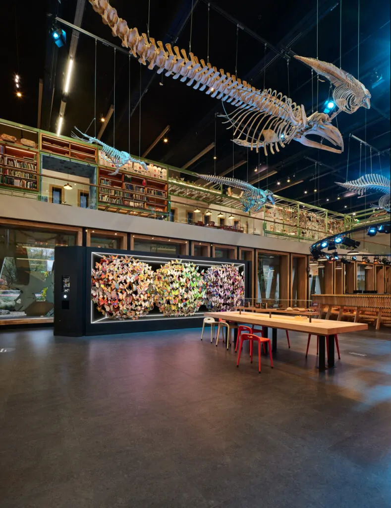 Create Your Own Butterfly at Dominic Harris’ Origins of Imagination at Naturalis Biodiversity Center