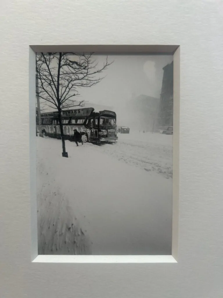 Paris Photo Top 5 Selected by Lee Sharrock