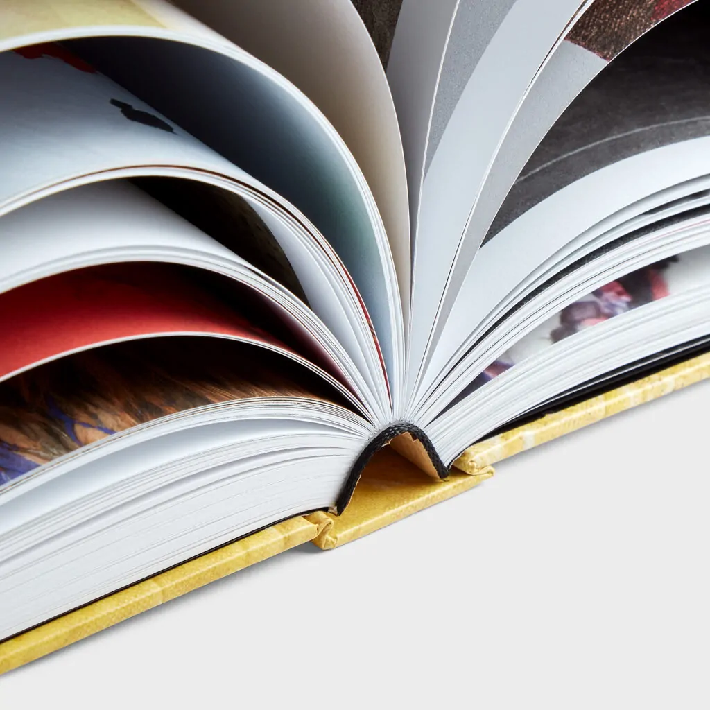 Book Release: David Hammons