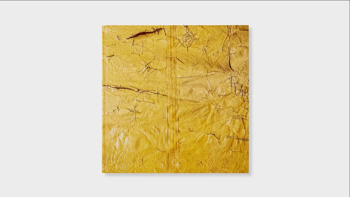 Book Release: David Hammons