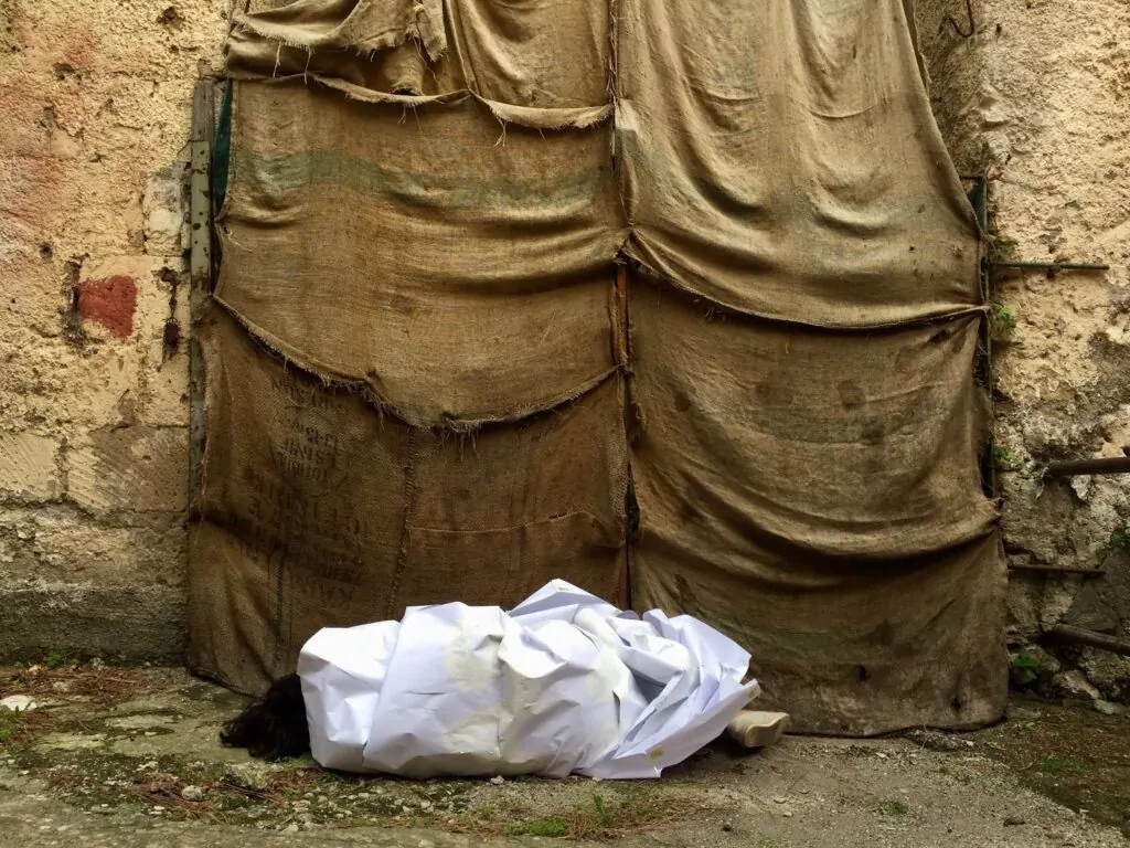 Five Artists You Should Know: Rethinking Identity, Place and Practice in Contemporary Art