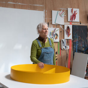 Suzanne Blank Redstone: Catching Light
