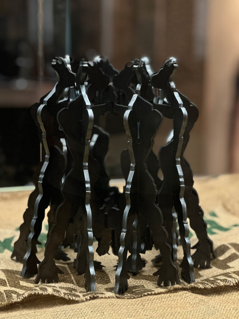 Echoes of Identity: A Contemporary Narrative