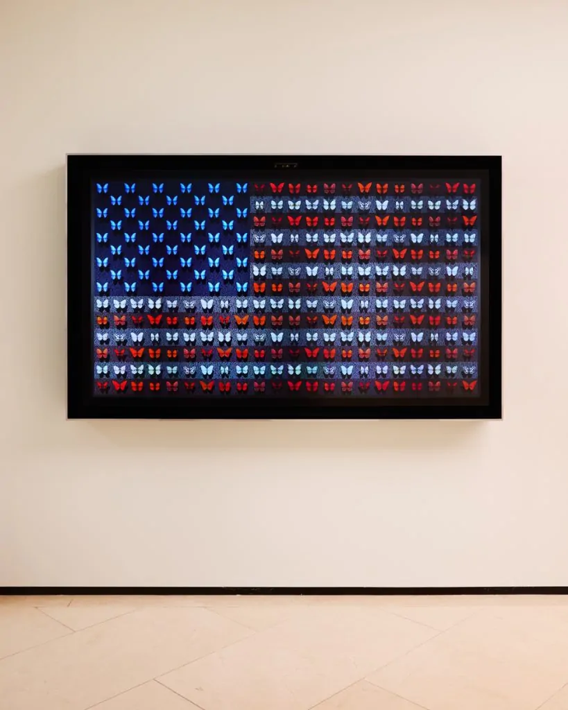 Summer Exhibition exploring colour and its perception opens at Halcyon
