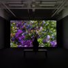 Infinite Images: The Art of Algorithms