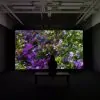 Infinite Images: The Art of Algorithms