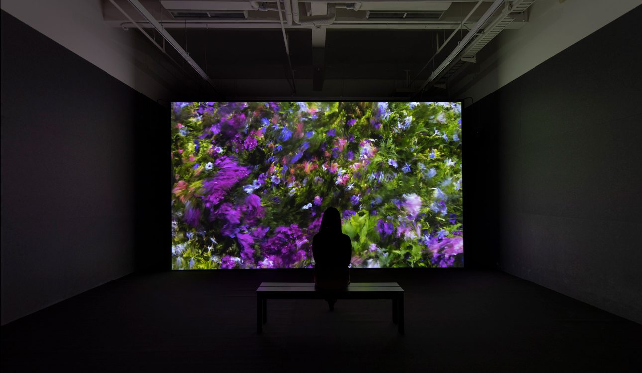 Infinite Images: The Art of Algorithms