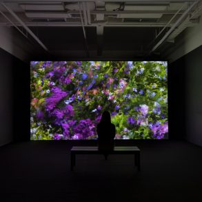 Infinite Images: The Art of Algorithms