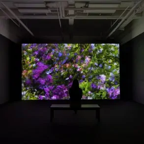 Infinite Images: The Art of Algorithms