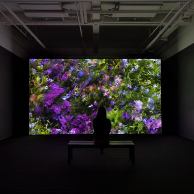 Infinite Images: The Art of Algorithms