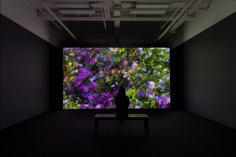 Infinite Images: The Art of Algorithms