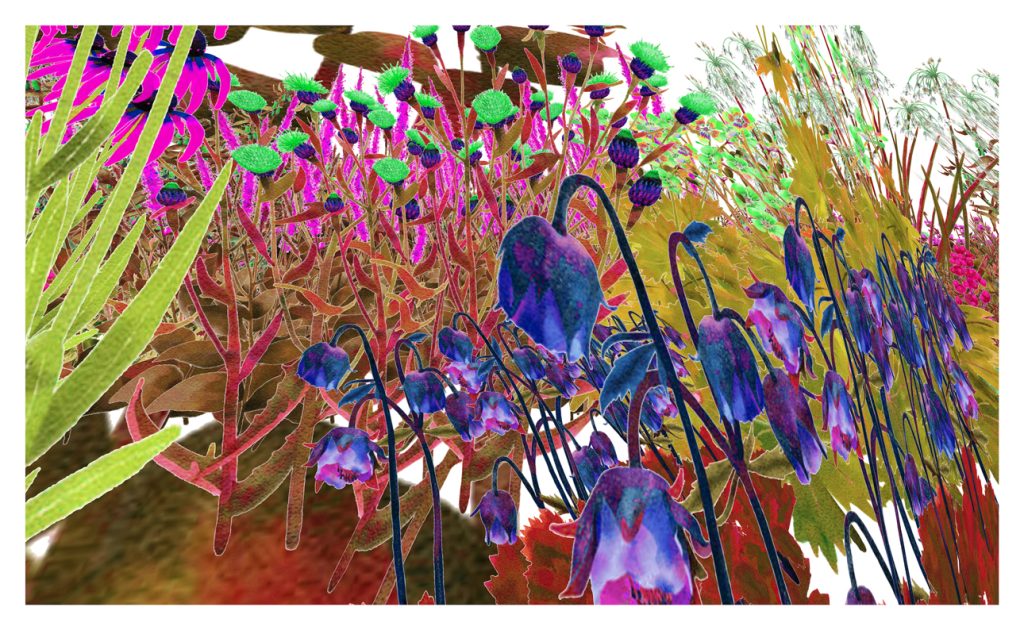 After Nature: Curated by Ben Tufnell