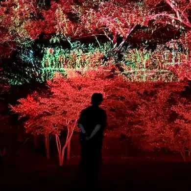 Jinjoon Lee: Cine-Forest: Awakening Bloom, Jinjoon Lee, Cine-Forest: Awakening Bloom, Korea