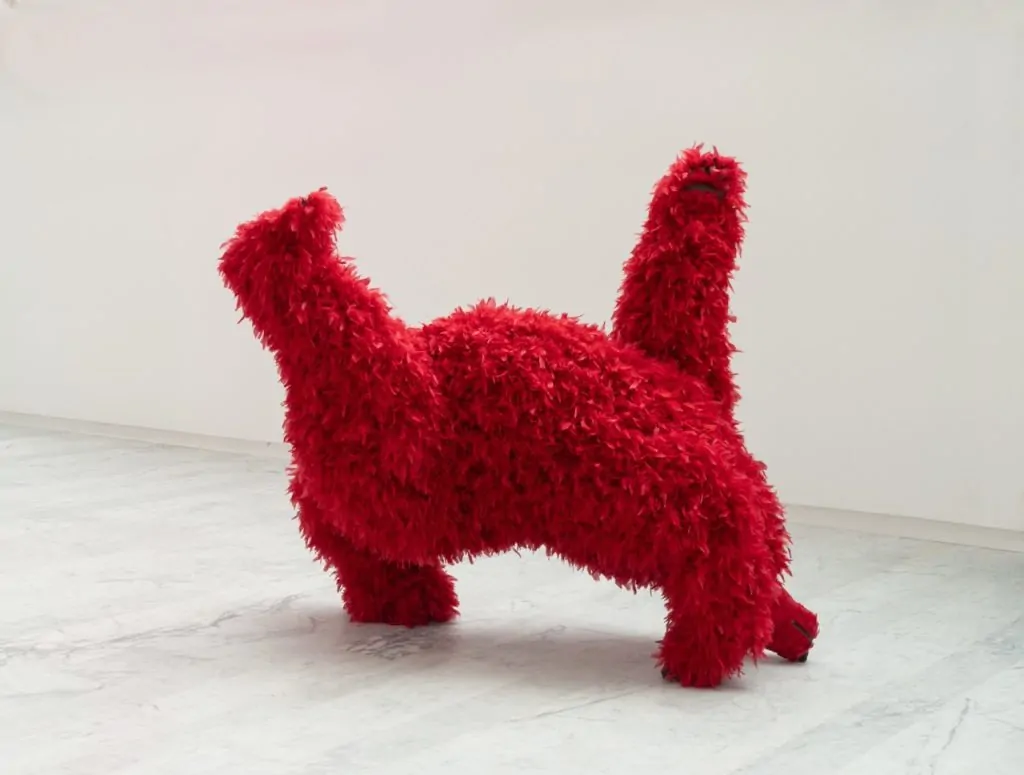Paola Pivi, Feathered Polar Bears, Upside-Down Planes, Polar Bears