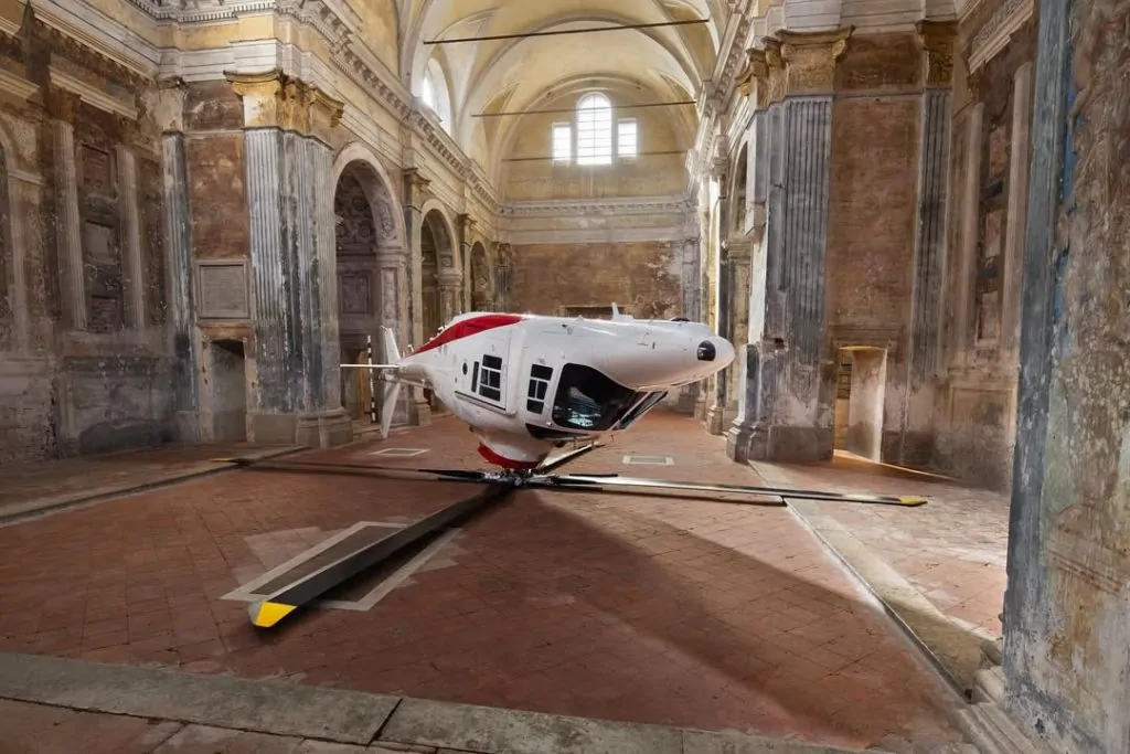 Paola Pivi, Feathered Polar Bears, Upside-Down Planes, Polar Bears